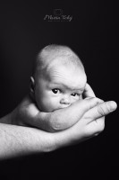 /album/deti-/mg-5567-jpg/