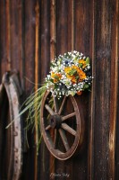 /album/svadby/mg-1744-jpg/