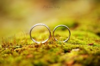 /album/svadby/dz5b0572-jpg/