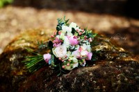 /album/svadby/img-0207-jpg/